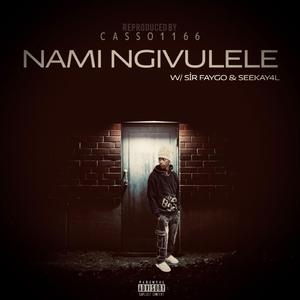 Nami Ngivulele (feat. Sir Faygo & Seekay4L)