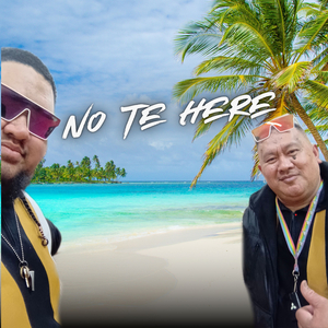 No Te Here