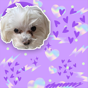 આરામ નો સમય