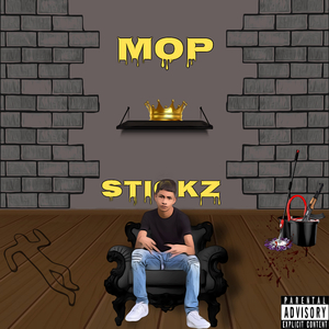 Mop Stickz