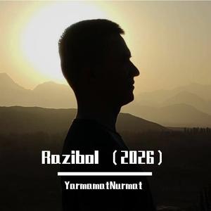 Razibol （2026）