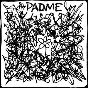 Whose Decision Is It to Make?