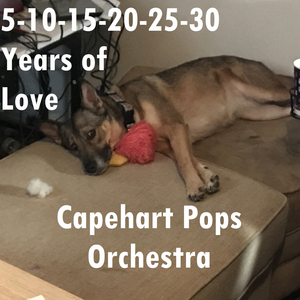 5 10 15 20 25 30 Years of Love