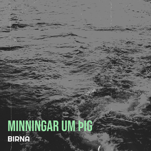 Minningar Um Þig