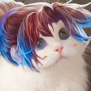 风起天阑1