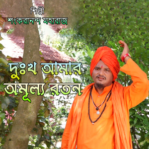 দুঃখ আমার অমূল্য রতন