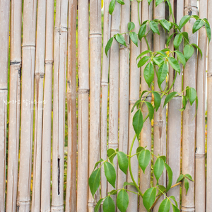 힘내라고 말해주세요