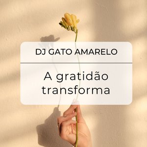A gratidão transforma