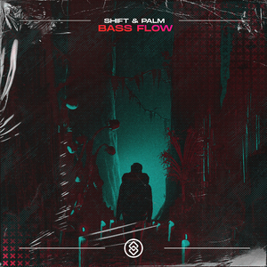 Bass Flow (Extended Mix)