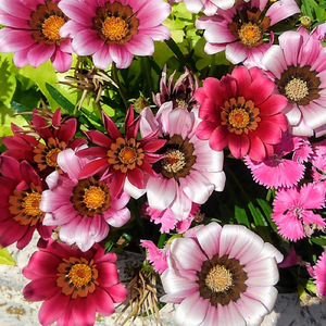 広がる世界 ～宇宙（ソラ）のうた～