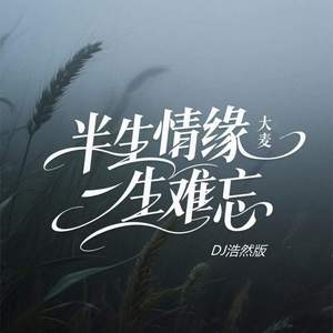半生情缘一生难忘 (DJ浩然版)