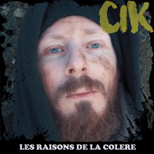 Les raisons de la colère
