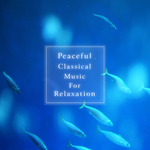 肖邦: 升c小调夜曲