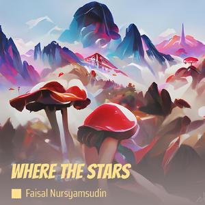 Where the Stars
