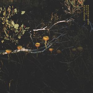 Thank You For Everything