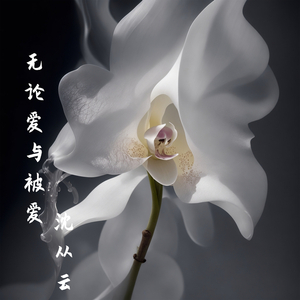 无声地坠落