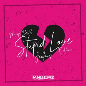 Stupid Love (Jealous) (feat. Kumi)