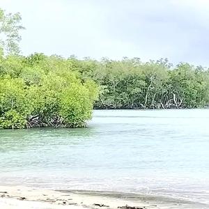 Kalan Naruk