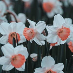 Bizim Yaşadığımız - İbrahim Sadri