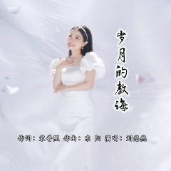 岁月的教诲 (DJ光波版)