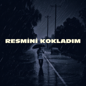 Resmini Kokladım