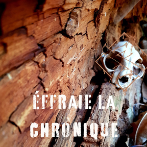 Effraie la chronique