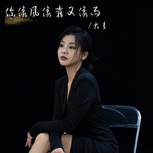 你像风像雾又像雨 (DJ版)