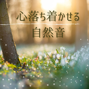 落ち着く和風音楽