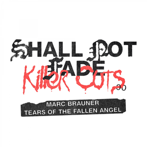 Tears Of The Fallen Angel