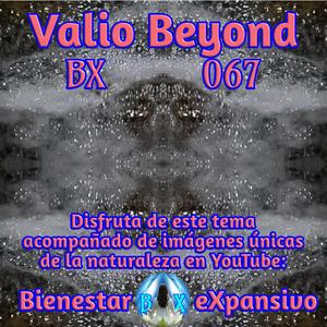 BX 067 Formas en la noche