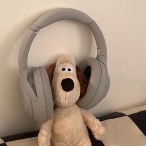 专情（cover-顾帅Gs）