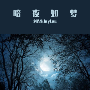 暗夜如梦