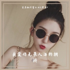 南瓜冬瓜哈密瓜你是我的小傻瓜 (DJ版)
