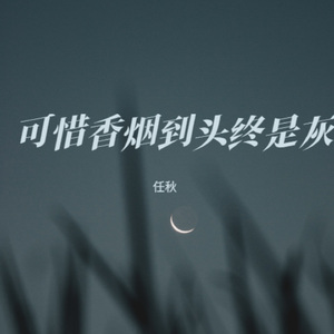 可惜香烟到头终是灰