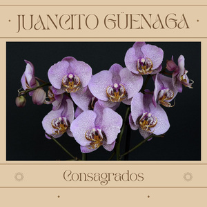 Maestrita de lo isleros