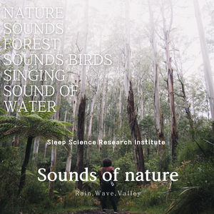 빗소리로 시작되는 행드럼 깊은 수면으로의 여행 Hang Drum that Begins with the Sound of Rain a Journey to Deep Water