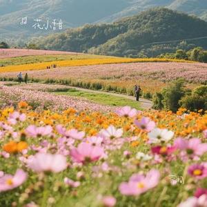 茶涧