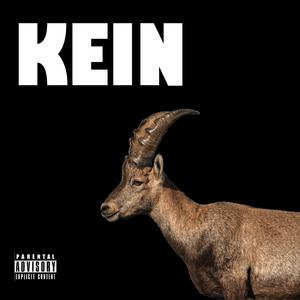 Kein Bock (feat. Haschio)