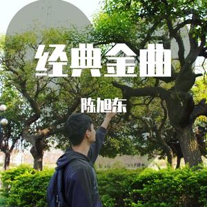 你看你看月亮的脸