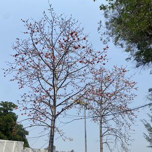 海边跟你说晚安