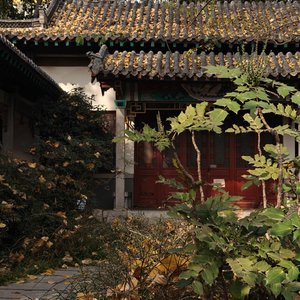 沉默