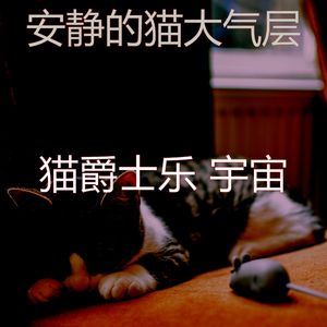 抚慰的猫在家回忆