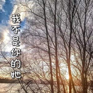 我不是你的她(男声版)