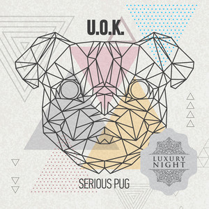 Serious Pug (Original Mix)