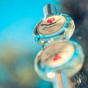 Cologne (Bonus Track)