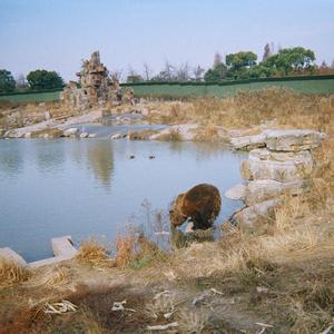 Somewhere In Time(弹唱)