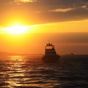 旧照片里的誓言