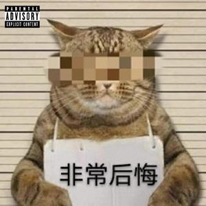 别理解