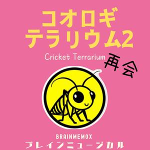 コオロギテラリウム２再会　Cricket Terrarium2 Reunion