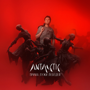 Прима лужи лебедей